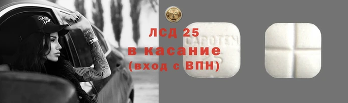 прущие грибы Покровск