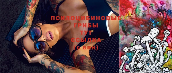 а пвп мука Алзамай