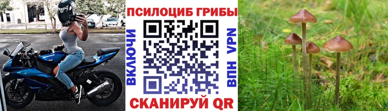 сколько стоит  Краснокамск  mega ТОР  Галлюциногенные грибы MAGIC MUSHROOMS 